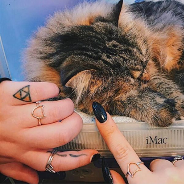 bad-cat-ring-4 cat ring